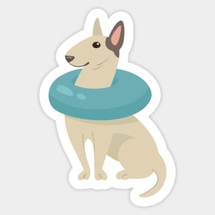 bull terrier swimming Sticker